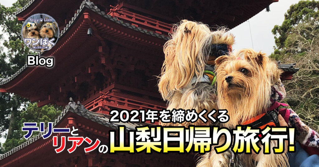 道の駅『なんぶ』と『身延山 久遠寺』へ行ったよ！