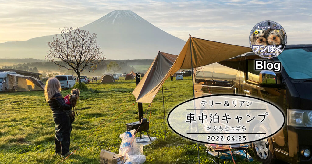 キャンプの聖地『ふもとっぱら』でわんこ連れキャンプ！