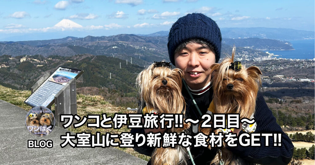 大室山とヨークシャーテリア