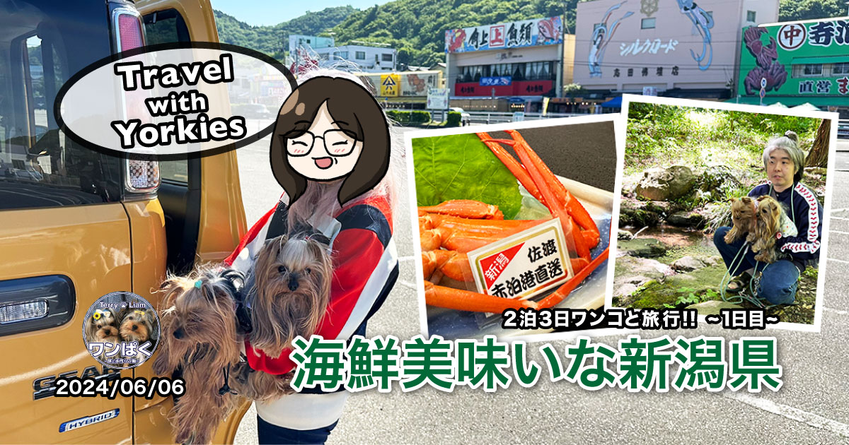2泊3日ワンコ旅行1日目は新潟