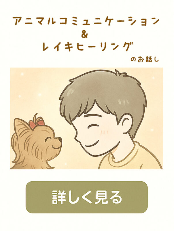 アニコミ＆レイキへのバナー